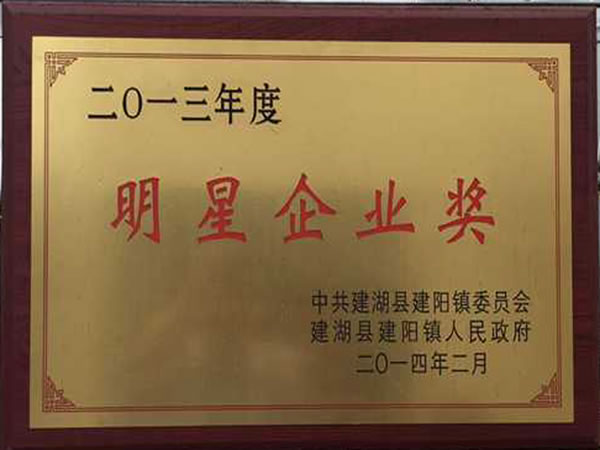 2013年度明星企業(yè)獎(jiǎng)